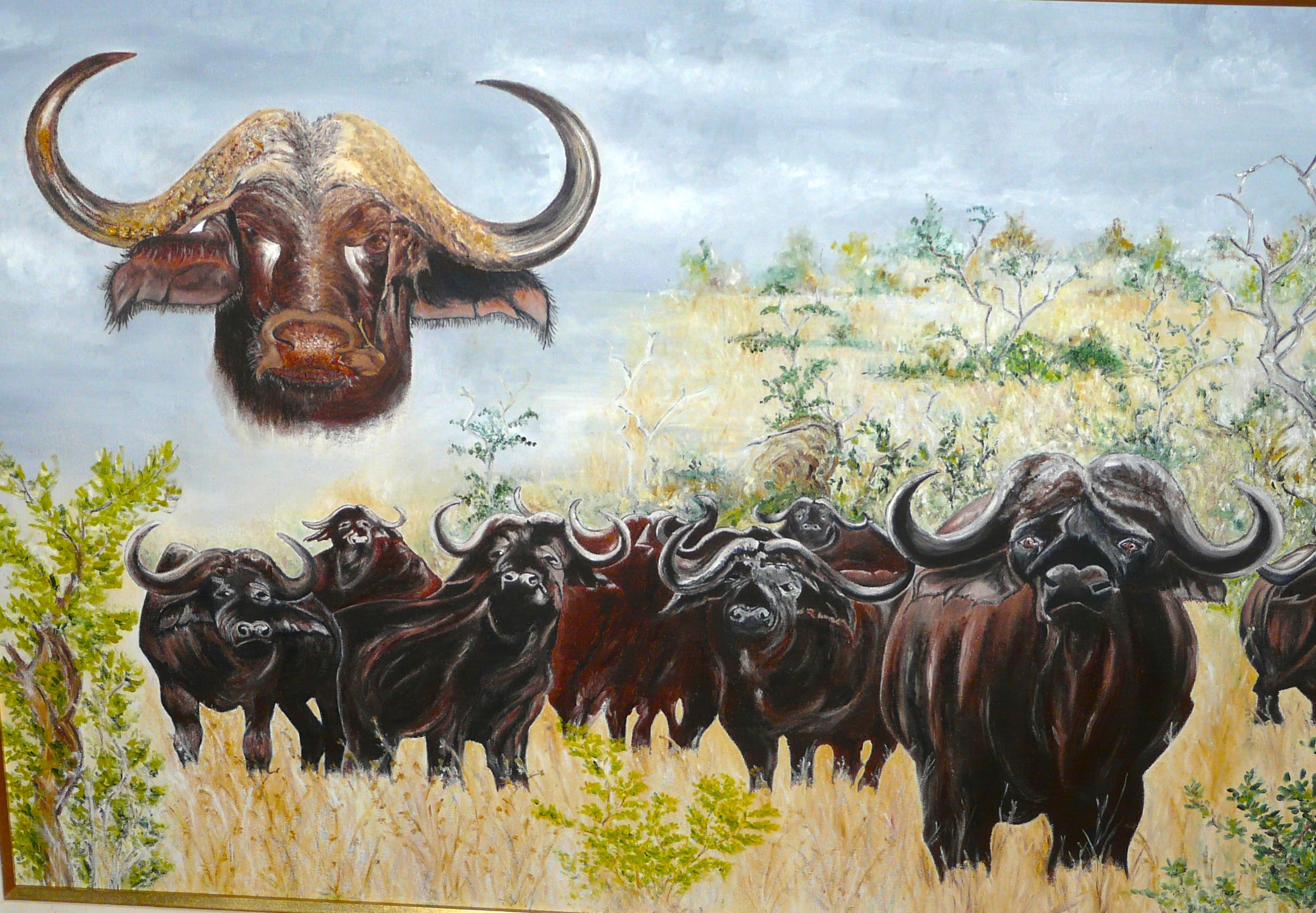 Bufallos