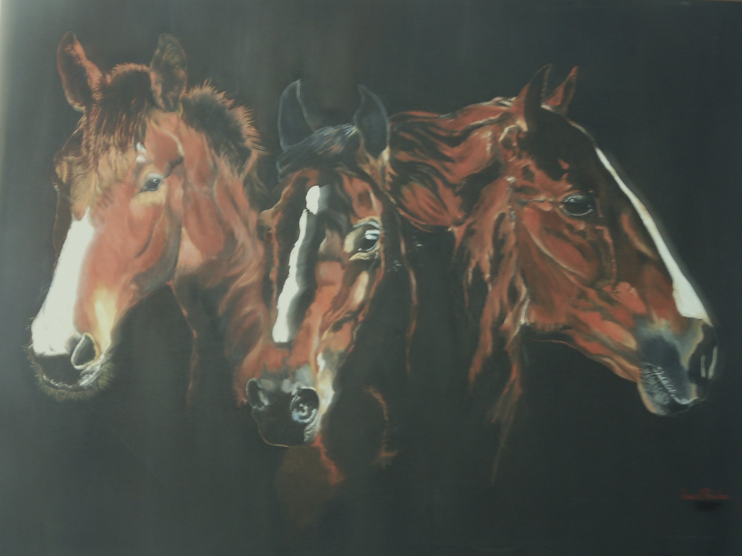 Cabecas De Cavalo
