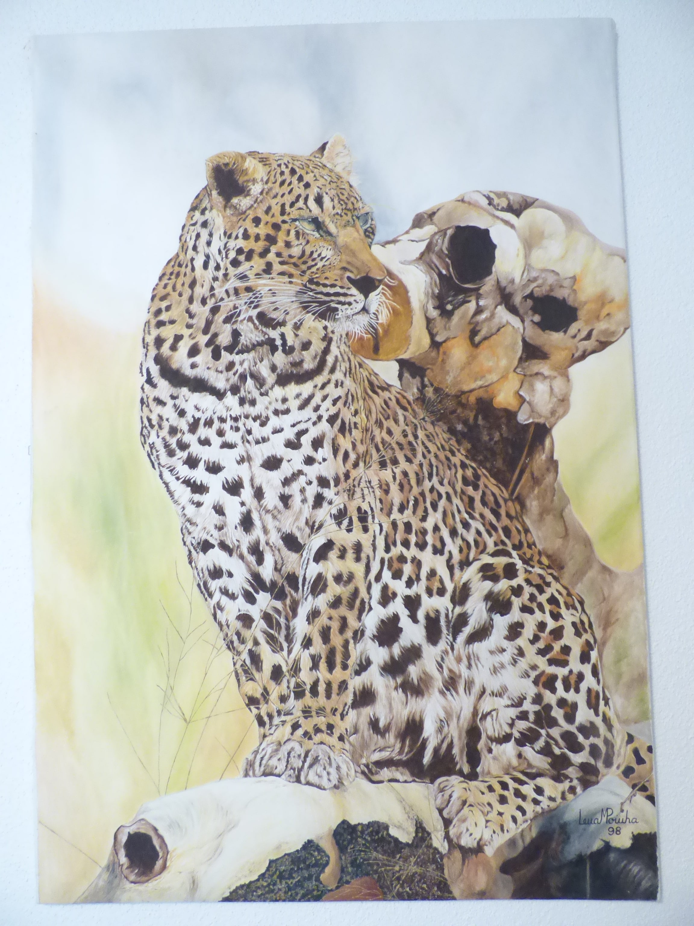 Leopardo