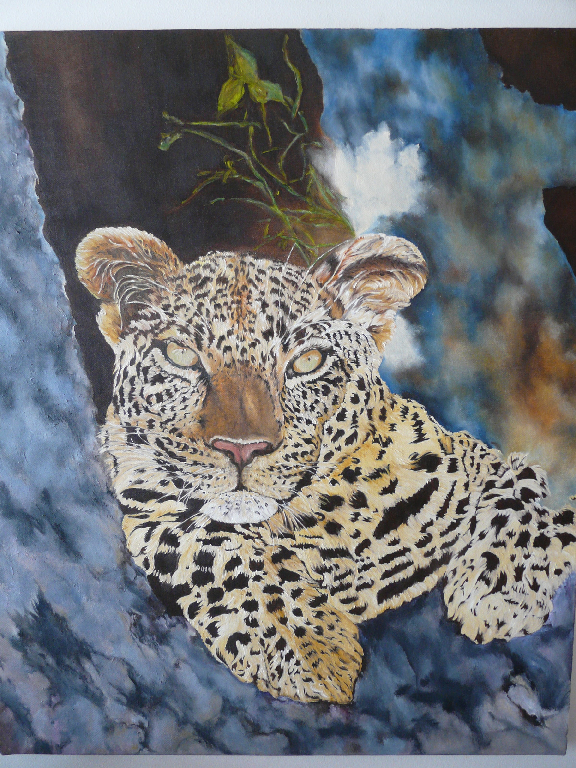 Leopardo