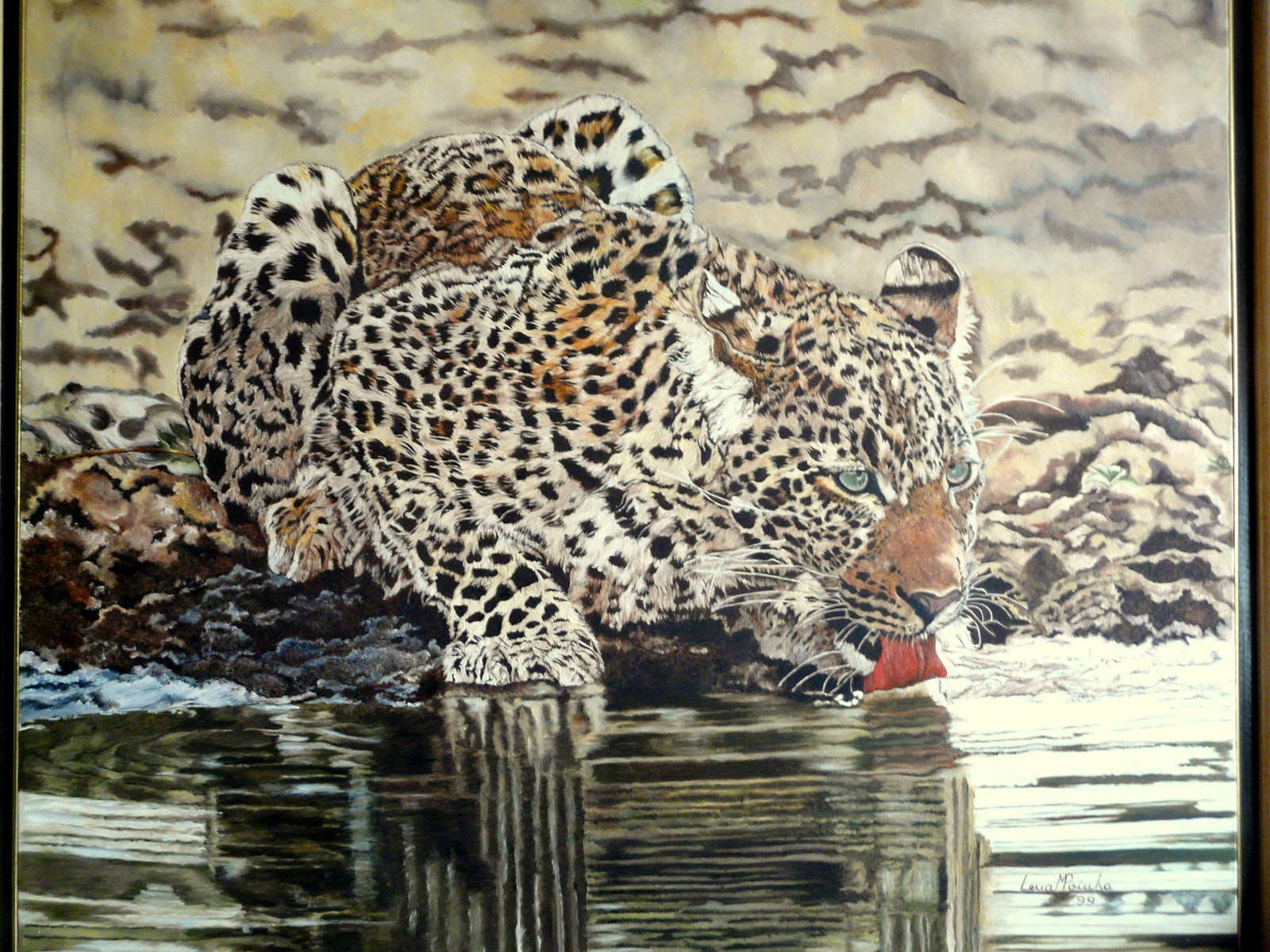 Leopardo Bebendo