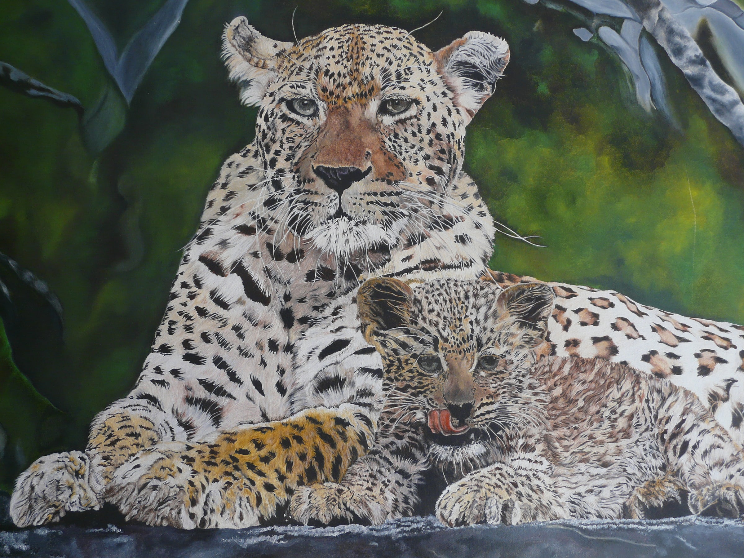 Leopardo E Filhote