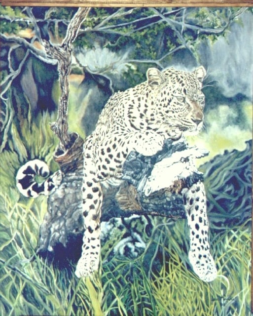 Leopardo Relaxing