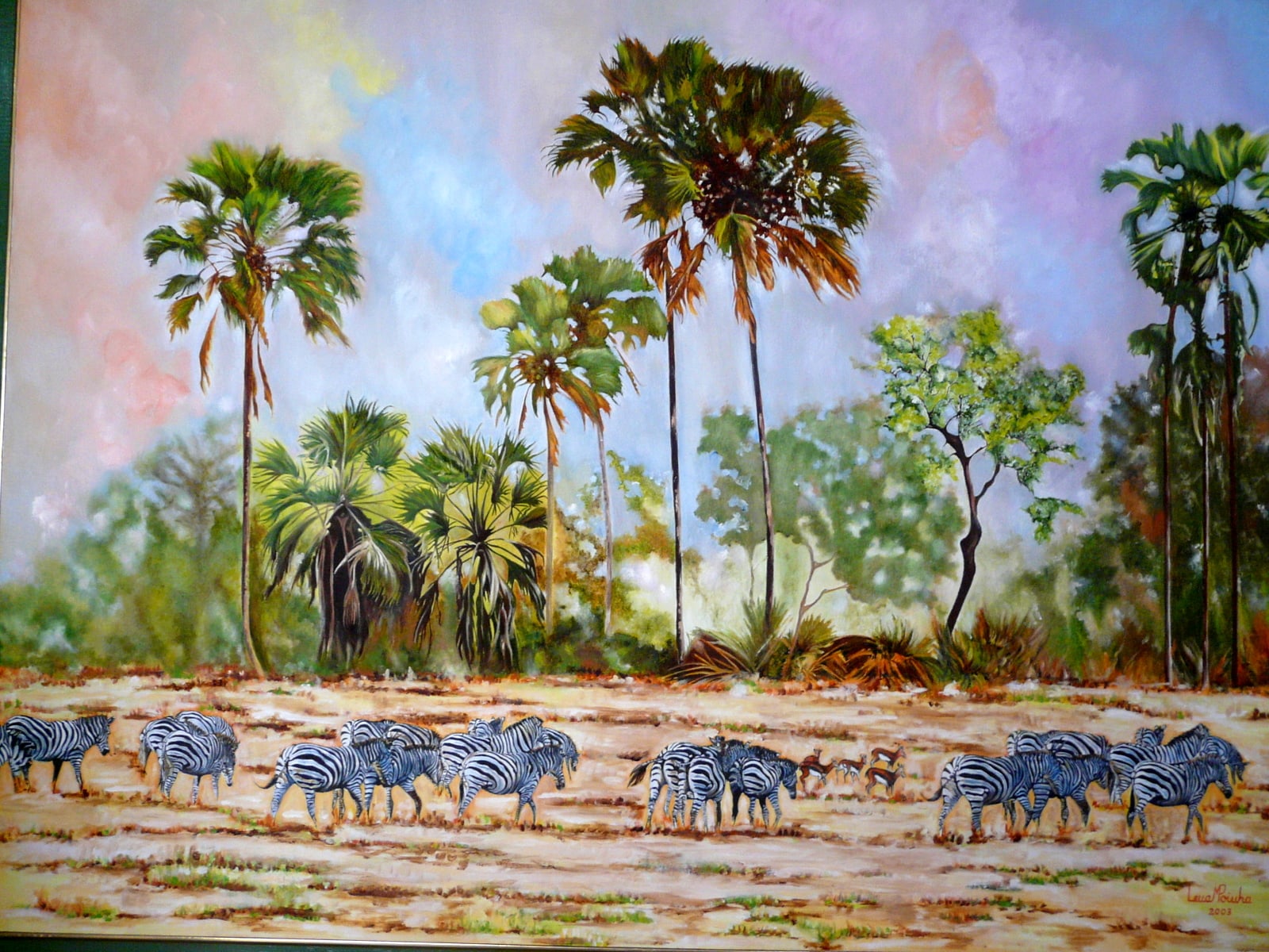 Zebras In Savanah