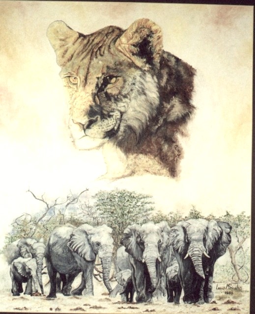 Cabeca De Leoa 90x70cms