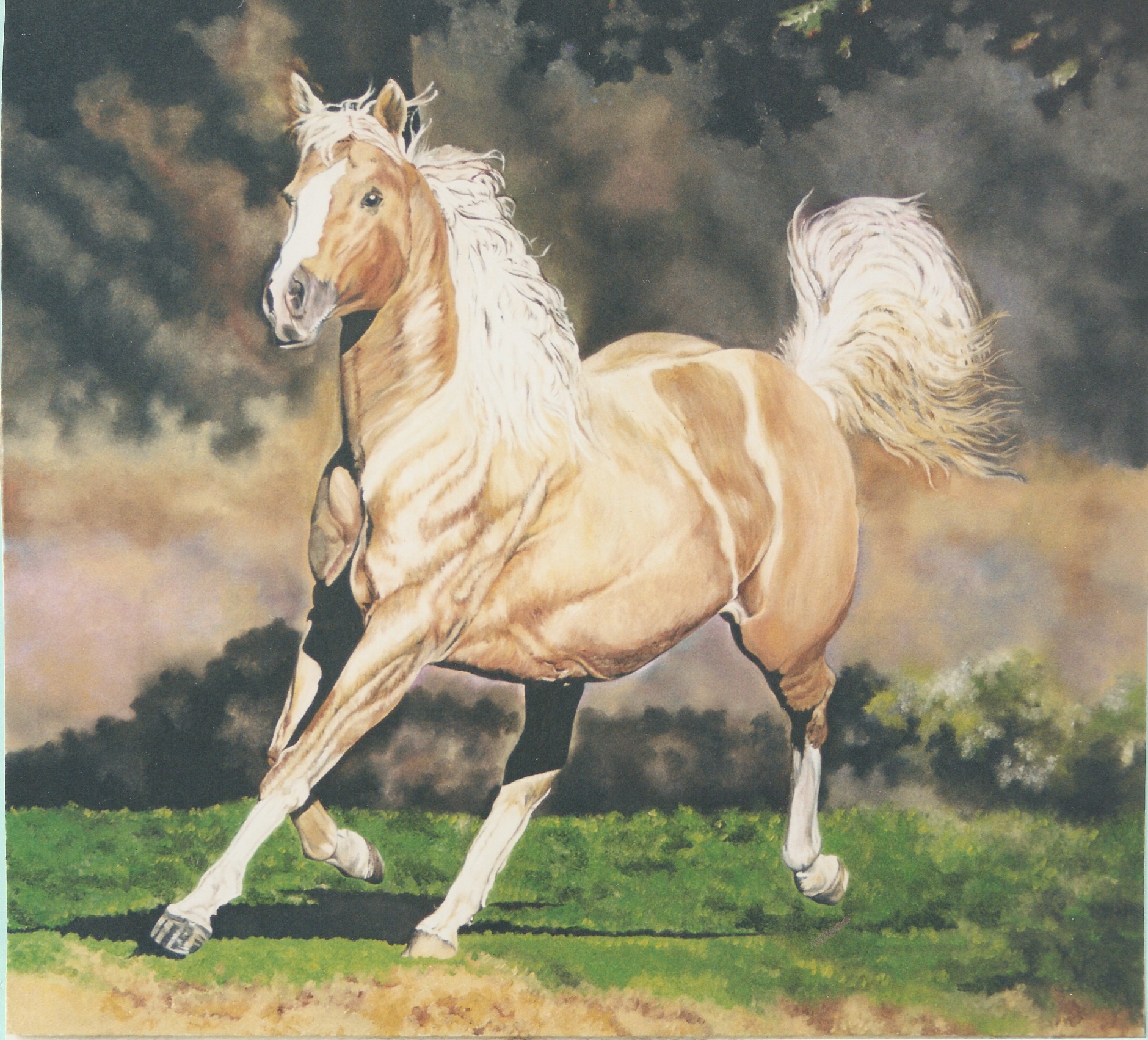 Chestnut Horse 70x80cms