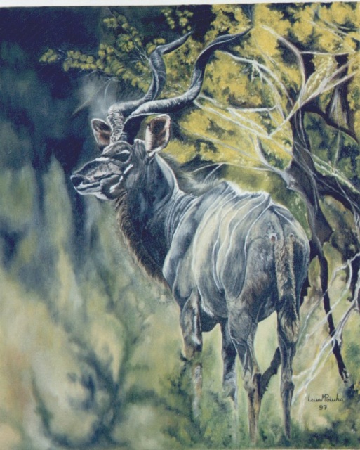 Kudu Na Selva 90x70cms
