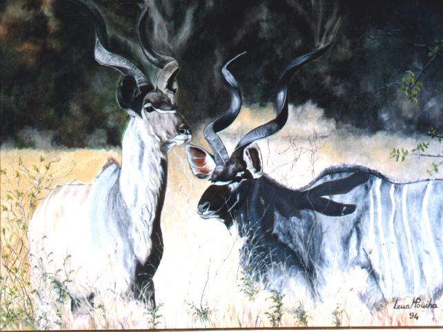 Kudus 2 60x70cms
