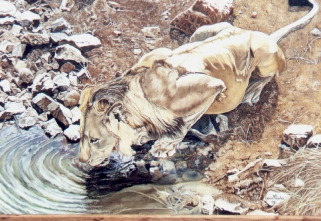 Leao Bebendo 1 70x100cms