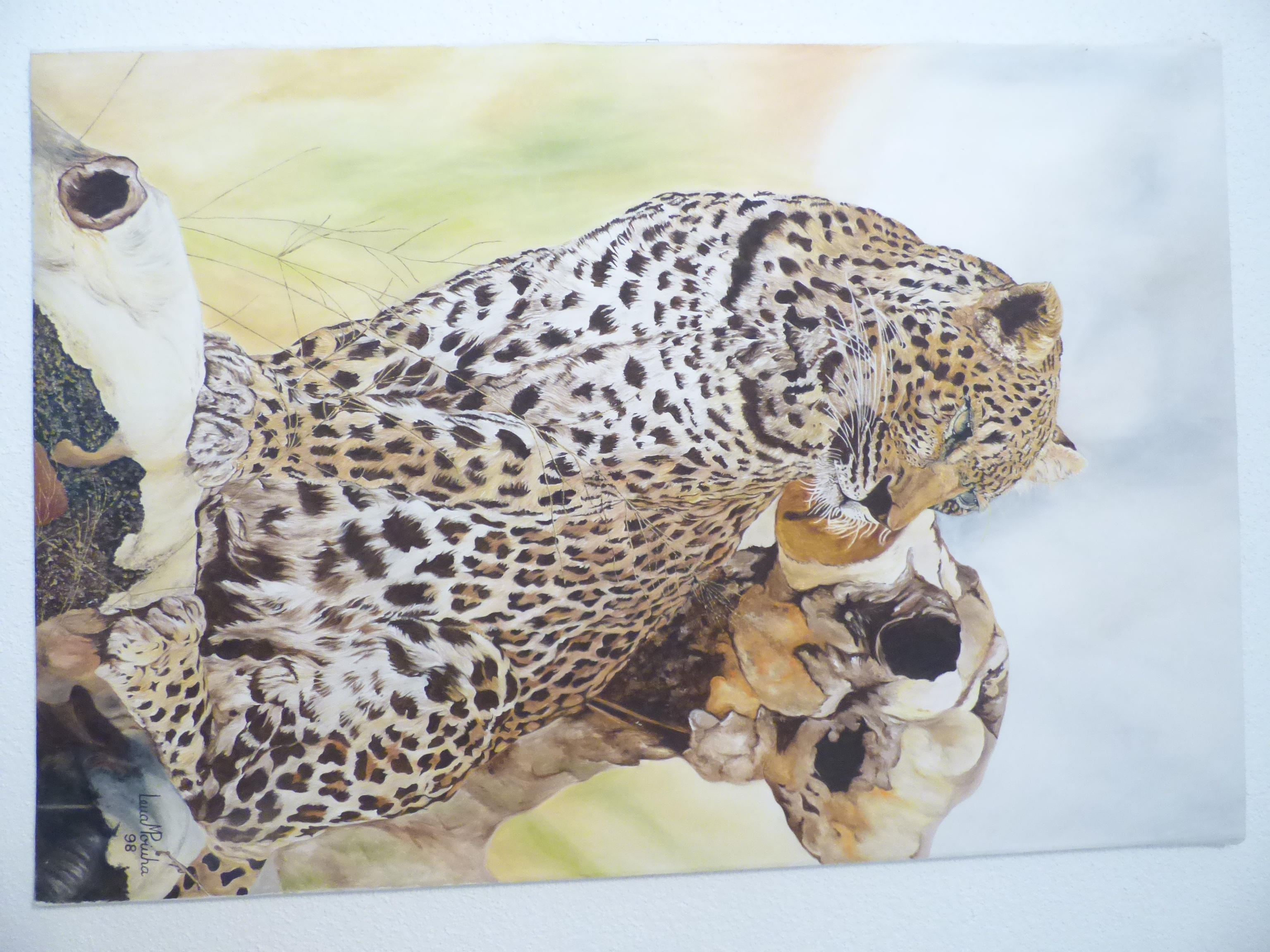 Leopardo 100x80cms