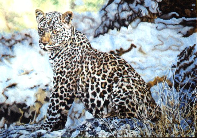 Leopardo 60x80cms