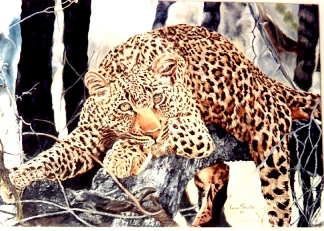 Leopardo PreguiçOso 60x80cms