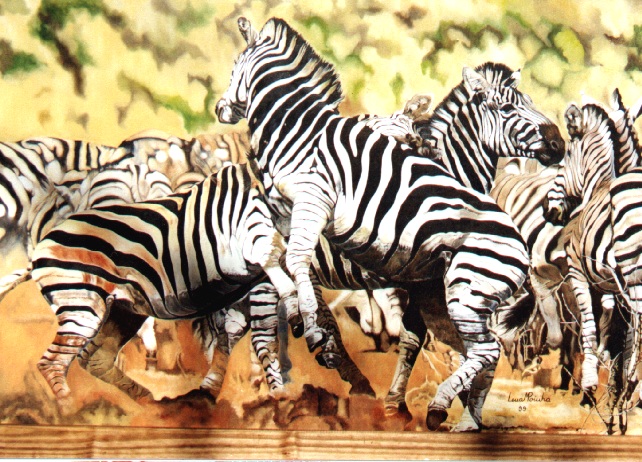 Luta De Zebras 90x120cms