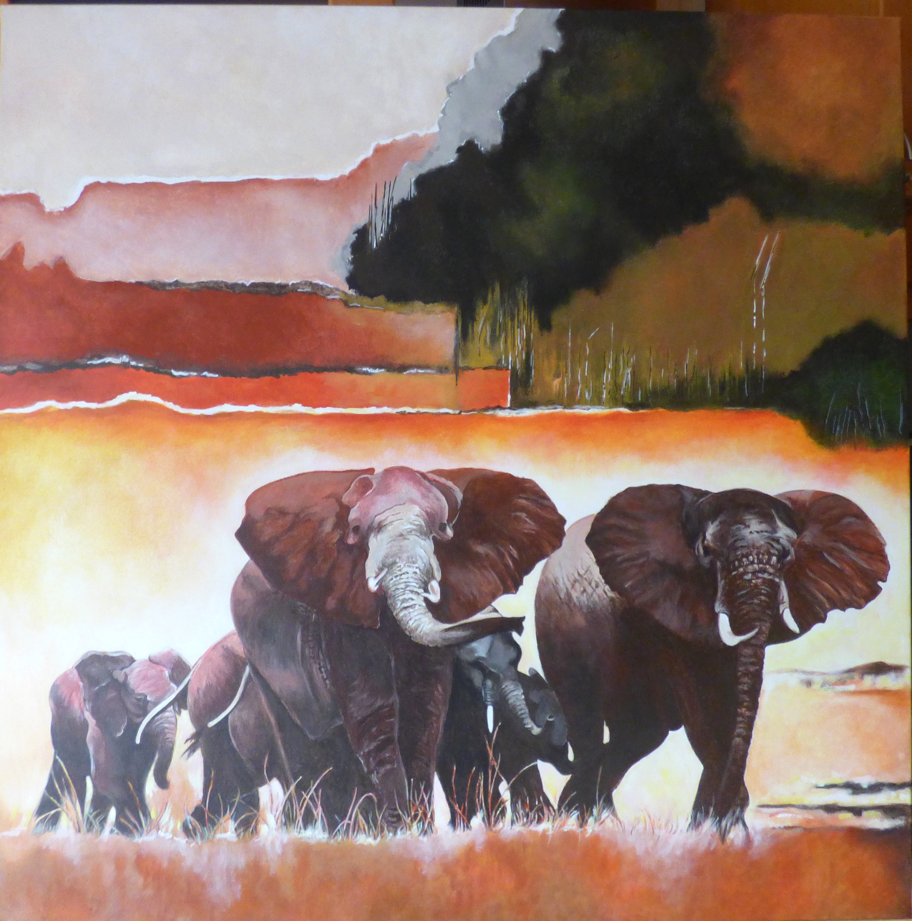 Manada De Elefantes 80x80cms