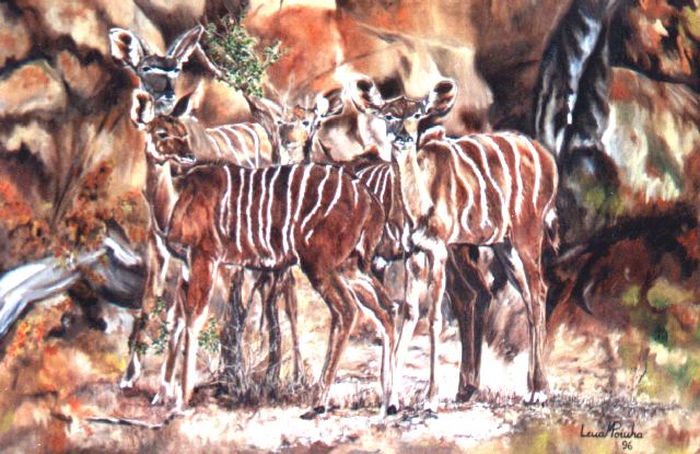 Nyalas 70x60cms