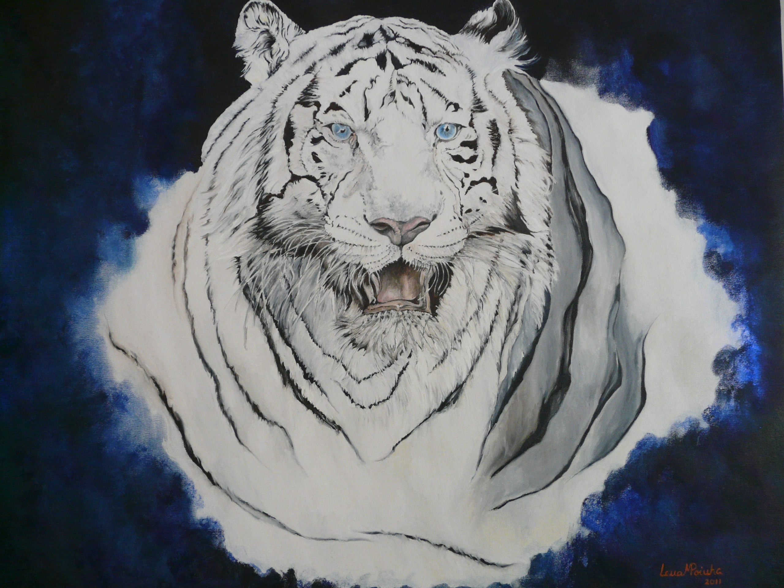Tigre Branco 60x80cms